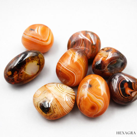 Celestara Agate Geode - hexagra